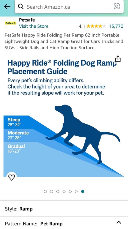 PetSafe 62” Dog Ramp Portable & Lightweight