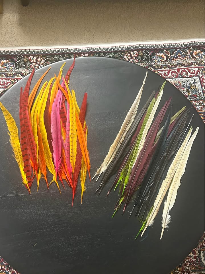 Zucker Assorted Pheasant Tails Feathers