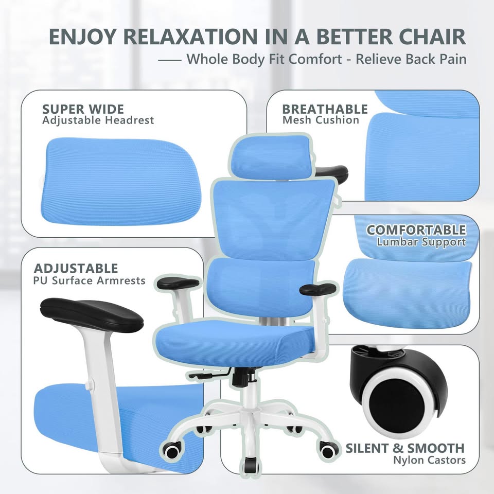 Reclining Ergonomic Office Chair