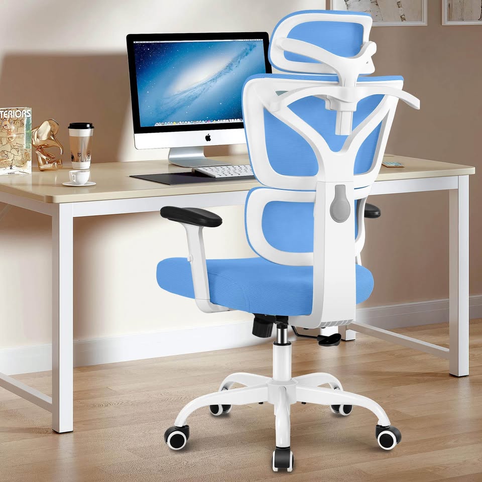 Reclining Ergonomic Office Chair