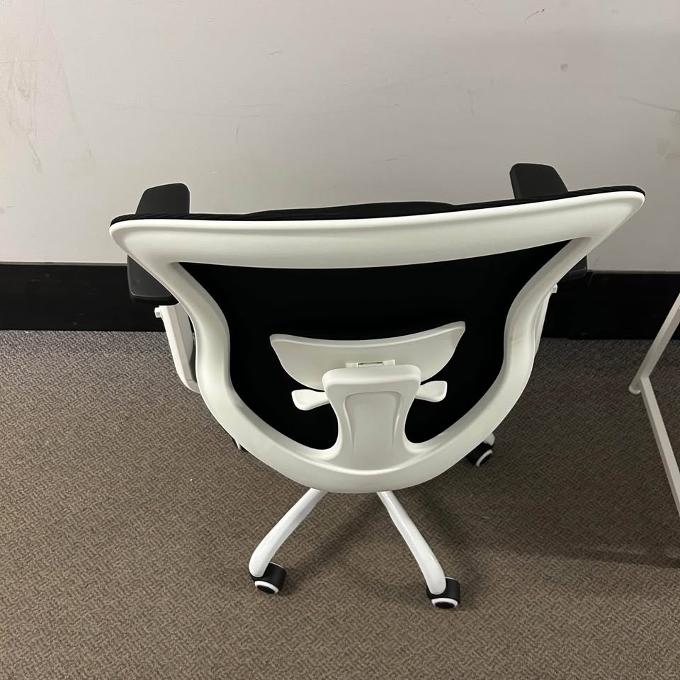 Brand new ergonomic chair and desk