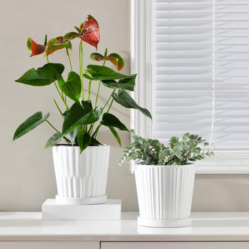 Brand New White Pots and Planters (set of 4)