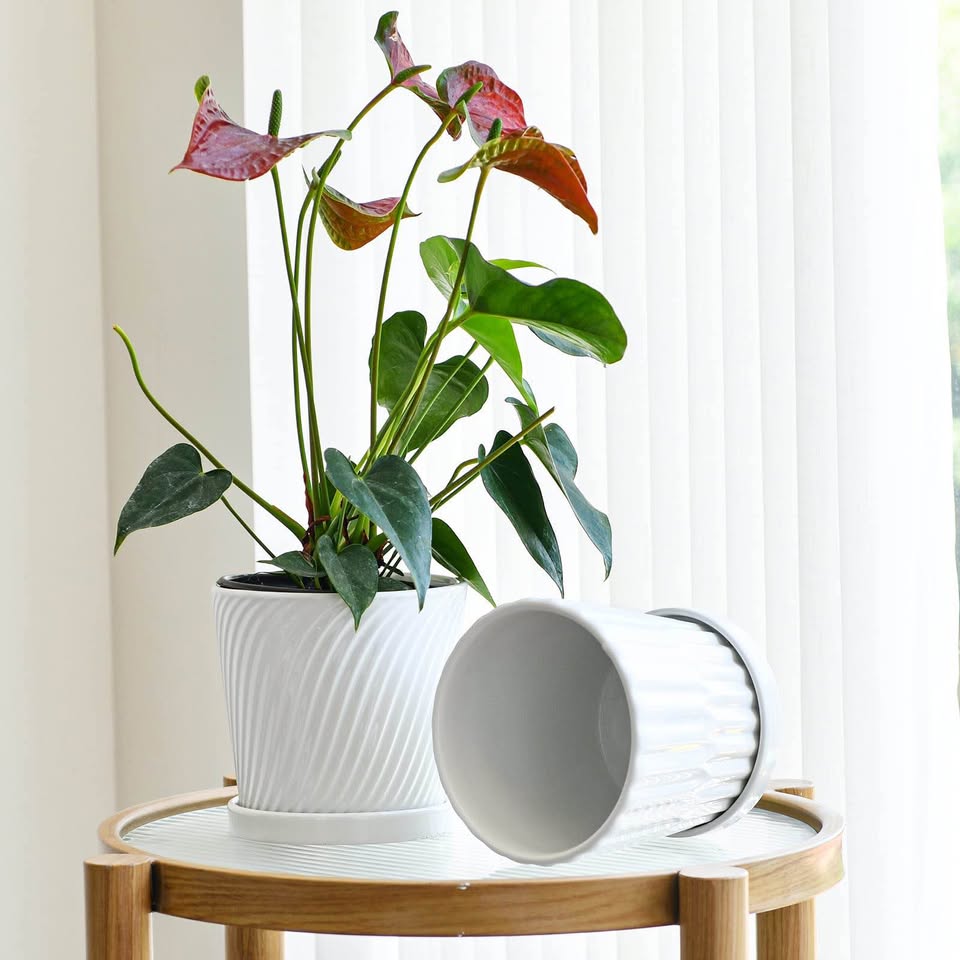Brand New White Pots and Planters (set of 4)
