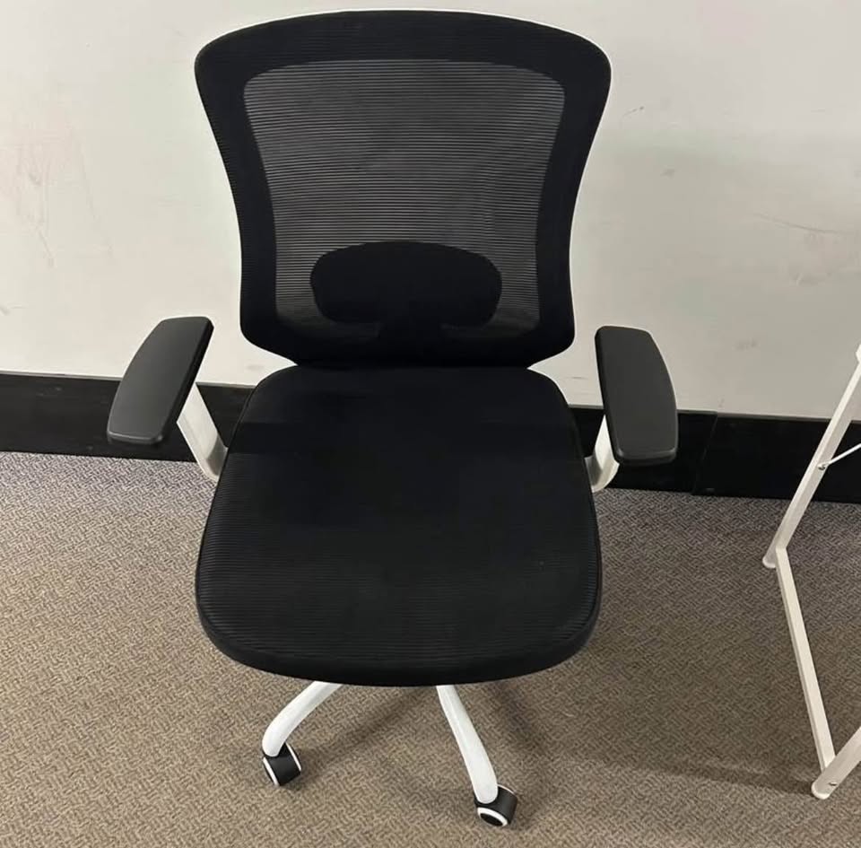 Brand new ergonomic chair and desk