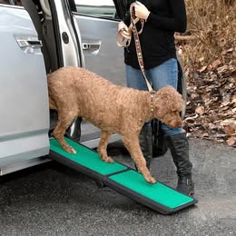 Dog Cat Ramp