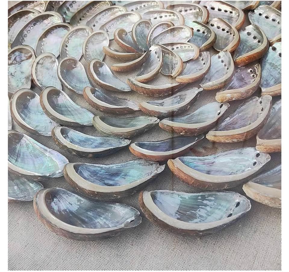 Natural Abalone Shell Flower Shape Wall Art