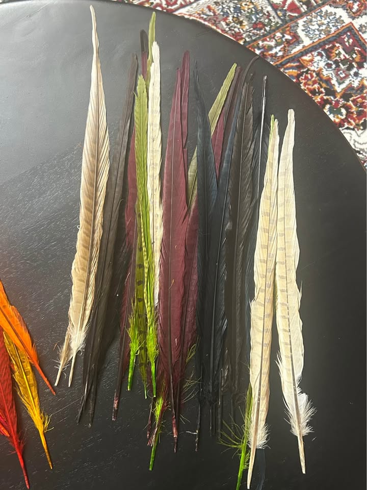 Zucker Assorted Pheasant Tails Feathers