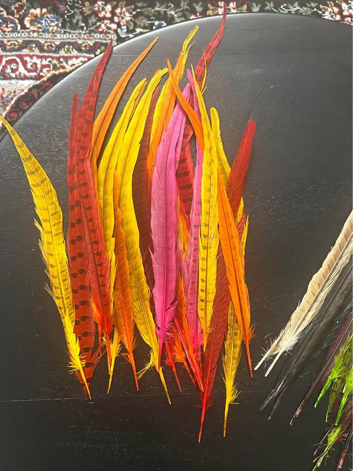 Zucker Assorted Pheasant Tails Feathers