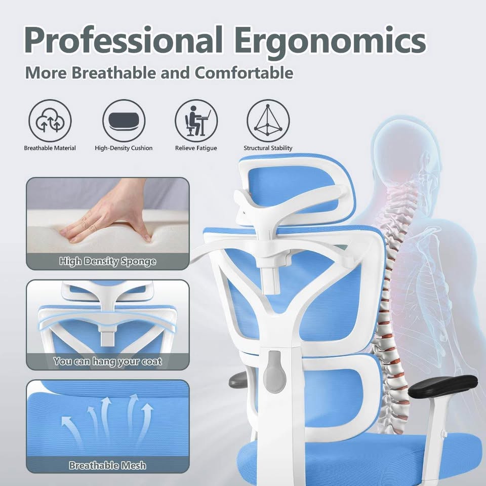 Reclining Ergonomic Office Chair