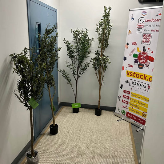 Brand New Indoor Plants and Trees (Read Description)