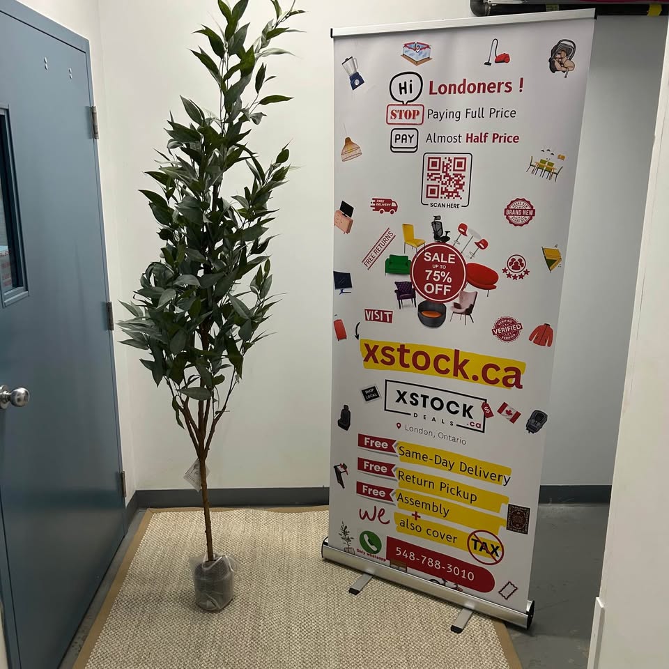 Brand New Indoor Plants and Trees (Read Description)